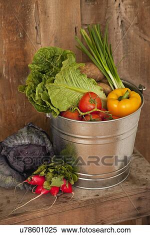 USA, Illinois, Metamora, Vegetable in metal bucket View Large Photo Image Stock Photography - USA, Illinois, Metamora, Vegetable in metal bucket. Fotosearch