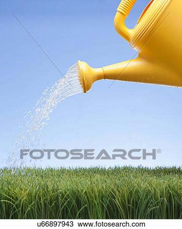 USA, Illinois, Metamora, Water can watering lawn View Large Photo Image Stock Image - USA, Illinois, Metamora, Water can watering lawn. Fotosearch