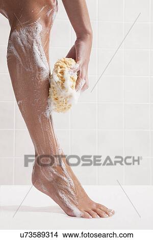 USA, Illinois, Metamora, woman cleaning leg with bath sponge View Large Photo Image Picture - USA, Illinois, Metamora, woman cleaning leg with bath sponge. Fotosearch
