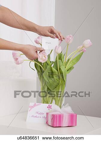 Stock Image - USA, Illinois, Metamora, woman placing greeting card in bouquet. Fotosearch