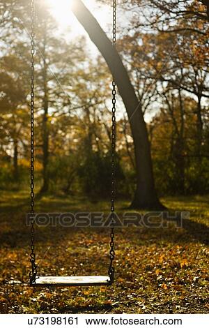 Stock Image - USA, Illinois, Washington, Swing in Autumn park. Fotosearch