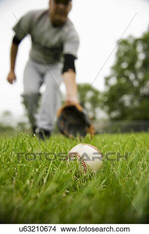 USA, Minnesota, Roseville, baseball in grass, defocused man in background View Large Photo Image Picture - USA, Minnesota, Roseville, baseball in grass, defocused man in background. Fotosearch
