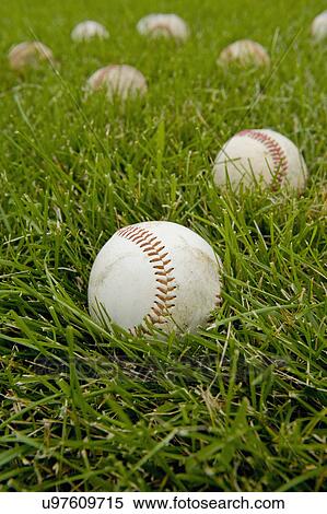 USA, Minnesota, Roseville, baseballs in grass View Large Photo Image Stock Photography - USA, Minnesota, Roseville, baseballs in grass. Fotosearch