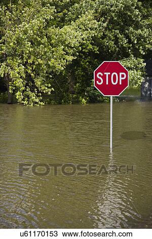 Stock Image - USA, Missouri, "Stop" sign in flood. Fotosearch