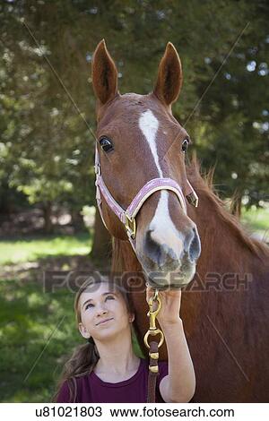 USA, New Jersey, Hardwick, Girl with horse at farm View Large Photo Image Stock Image - USA, New Jersey, Hardwick, Girl with horse at farm. Fotosearch