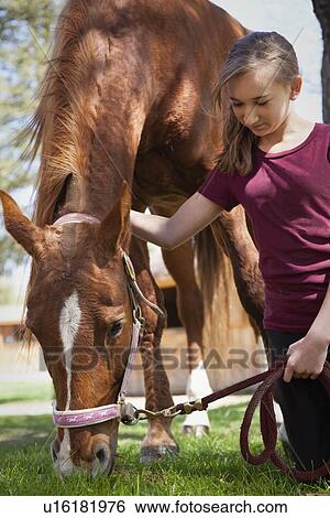 USA, New Jersey, Hardwick, Girl with horse at farm View Large Photo Image Stock Photograph - USA, New Jersey, Hardwick, Girl with horse at farm. Fotosearch