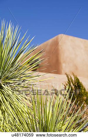 Stock Photo - USA, New Mexico, Whitesands, Building behind palm trees. Fotosearch