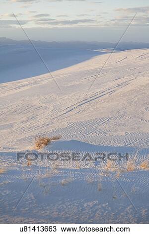 USA, New Mexico, Whitesands, Desert landscape View Large Photo Image Stock Image - USA, New Mexico, Whitesands, Desert landscape. Fotosearch