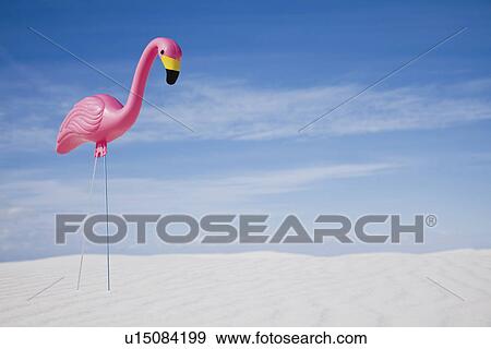 USA, New Mexico, Whitesands, Pink plastic flamingo on desert View Large Photo Image Stock Photo - USA, New Mexico, Whitesands, Pink plastic flamingo on desert. Fotosearch