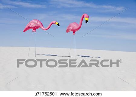 USA, New Mexico, Whitesands, Two pink plastic flamingos on desert View Large Photo Image Stock Image - USA, New Mexico, Whitesands, Two pink plastic flamingos on desert. Fotosearch
