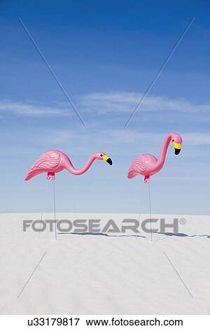 USA, New Mexico, Whitesands, Two pink plastic flamingos on desert View Large Photo Image Stock Photo - USA, New Mexico, Whitesands, Two pink plastic flamingos on desert. Fotosearch