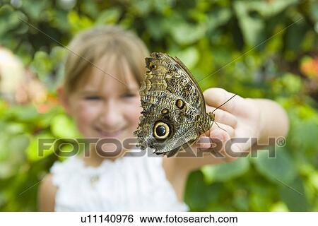 USA, Tennessee, Chattanooga, Girl (8-9) holding butterfly on finger View Large Photo Image Stock Photograph - USA, Tennessee, Chattanooga, Girl (8-9) holding butterfly on finger. Fotosearch