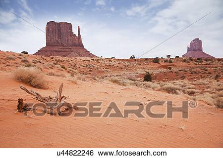Stock Photograph - USA, Utah, desert. Fotosearch