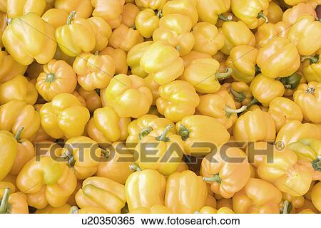 Stock Photography - Yellow bell peppers, full frame. Fotosearch