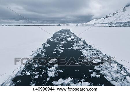 Antarctica in spring, South Shetland Islands View Large Photo Image Picture - Antarctica in spring, South Shetland Islands. Fotosearch