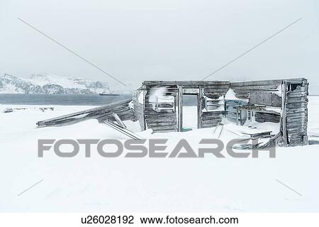 Antarctica in spring, South Shetland Islands View Large Photo Image Stock Image - Antarctica in spring, South Shetland Islands. Fotosearch