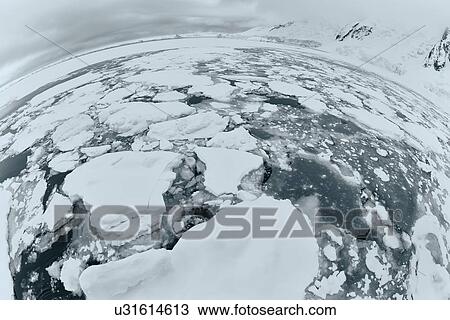 Stock Image - Antarctica in spring, South Shetland Islands. Fotosearch