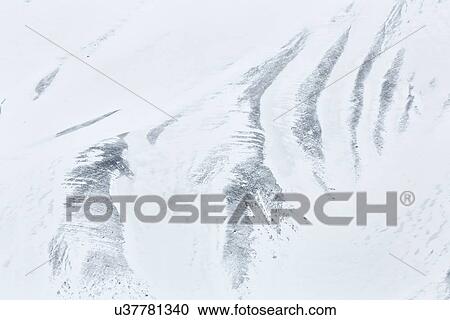 Stock Image - Antarctica in spring, South Shetland Islands. Fotosearch