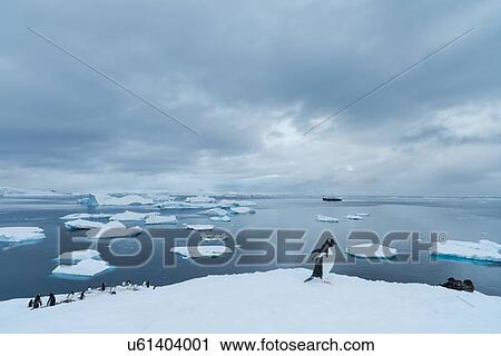 Stock Image - Antarctica in spring, South Shetland Islands. Fotosearch