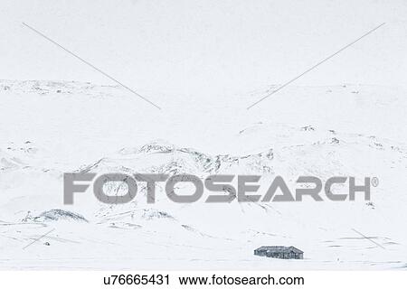 Antarctica in spring, South Shetland Islands View Large Photo Image Stock Image - Antarctica in spring, South Shetland Islands. Fotosearch