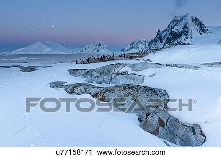 Stock Image - Antarctica in spring, South Shetland Islands. Fotosearch