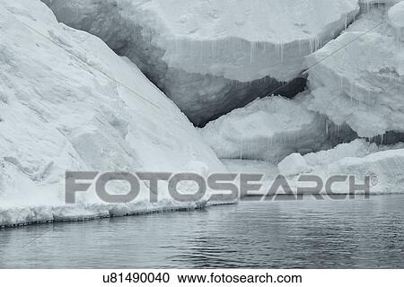 Antarctica in spring, South Shetland Islands View Large Photo Image Stock Image - Antarctica in spring, South Shetland Islands. Fotosearch