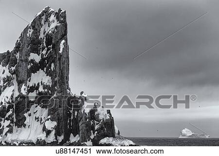 Antarctica in spring, South Shetland Islands View Large Photo Image Stock Image - Antarctica in spring, South Shetland Islands. Fotosearch