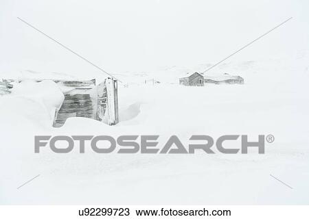 Antarctica in spring, South Shetland Islands View Large Photo Image Stock Image - Antarctica in spring, South Shetland Islands. Fotosearch