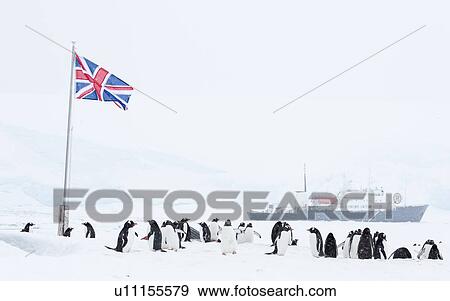 Stock Photo - Antarctica in spring, South Shetland Islands. Fotosearch