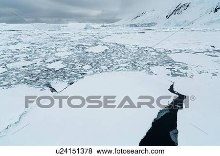 Antarctica in spring, South Shetland Islands View Large Photo Image Stock Photo - Antarctica in spring, South Shetland Islands. Fotosearch