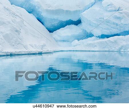 Antarctica in spring, South Shetland Islands View Large Photo Image Stock Photo - Antarctica in spring, South Shetland Islands. Fotosearch