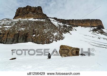 Stock Photo - Antarctica in spring, South Shetland Islands. Fotosearch