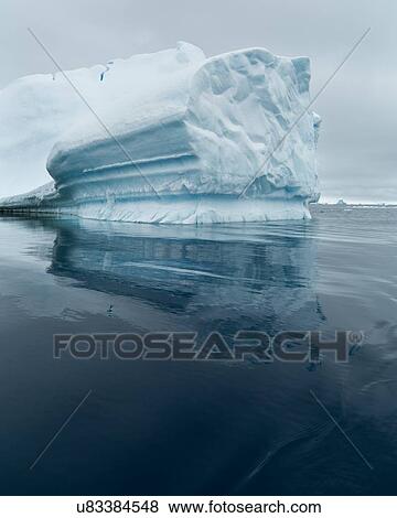Antarctica in spring, South Shetland Islands View Large Photo Image Stock Photo - Antarctica in spring, South Shetland Islands. Fotosearch