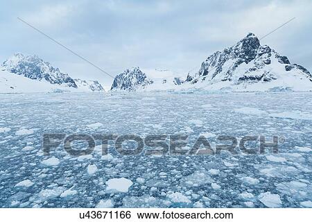 Antarctica in spring, South Shetland Islands View Large Photo Image Stock Photograph - Antarctica in spring, South Shetland Islands. Fotosearch