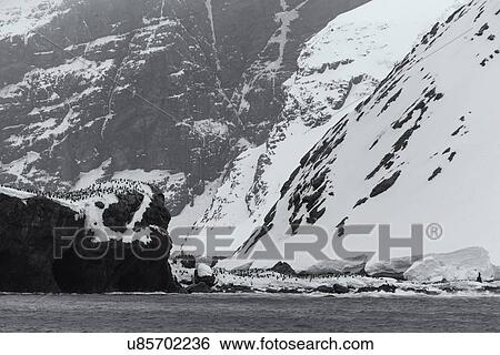 Stock Photograph - Antarctica in spring, South Shetland Islands. Fotosearch