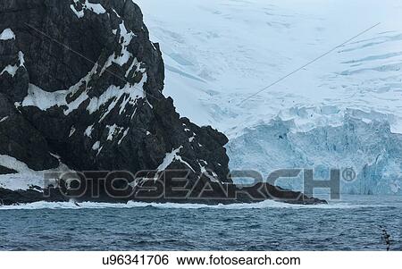 Antarctica in spring, South Shetland Islands View Large Photo Image Stock Photograph - Antarctica in spring, South Shetland Islands. Fotosearch