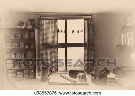 Stock Photograph - Antarctica in spring, South Shetland Islands. Fotosearch