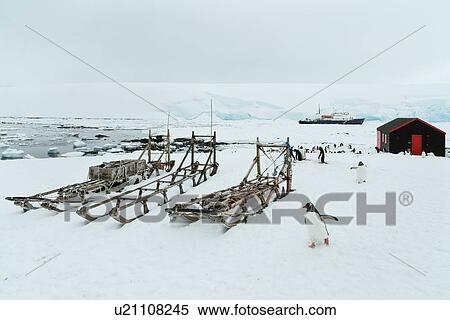 Stock Photography - Antarctica in spring, South Shetland Islands. Fotosearch