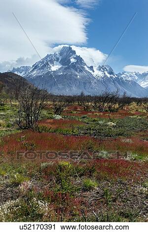 Stock Image - Landscapes of Patagonia (Chile). Fotosearch
