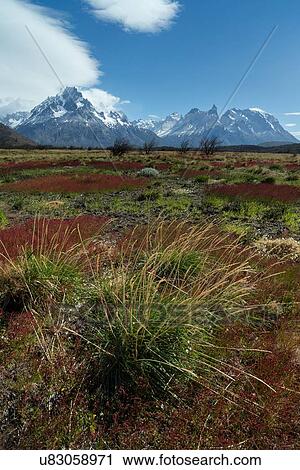 Landscapes of Patagonia (Chile) View Large Photo Image Stock Image - Landscapes of Patagonia (Chile). Fotosearch