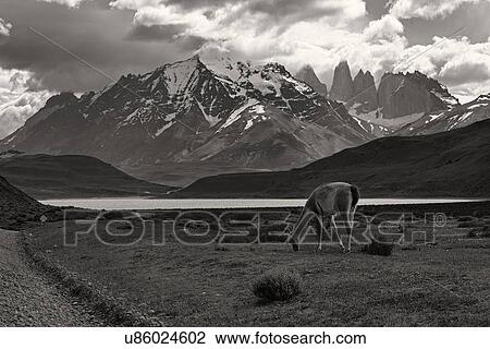 Stock Image - Landscapes of Patagonia (Chile). Fotosearch