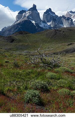 Stock Image - Landscapes of Patagonia (Chile). Fotosearch