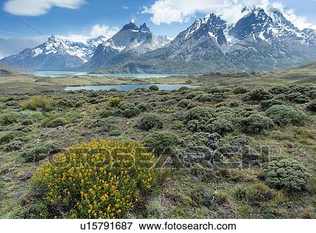 Landscapes of Patagonia (Chile) View Large Photo Image Stock Photo - Landscapes of Patagonia (Chile). Fotosearch