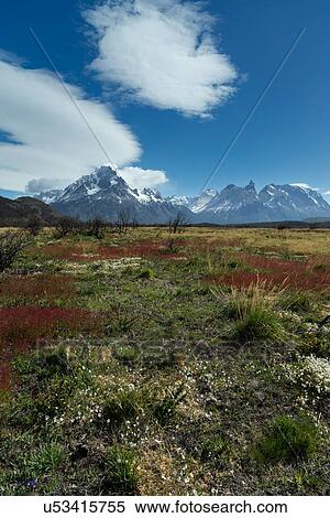 Landscapes of Patagonia (Chile) View Large Photo Image Stock Photography - Landscapes of Patagonia (Chile). Fotosearch