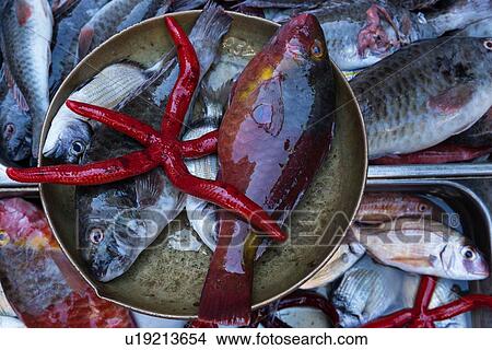 Picture - Views of Sicily . Fotosearch