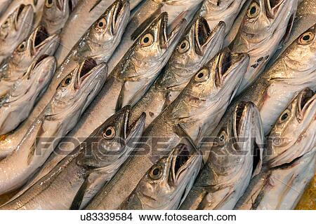 Picture - Views of Sicily . Fotosearch