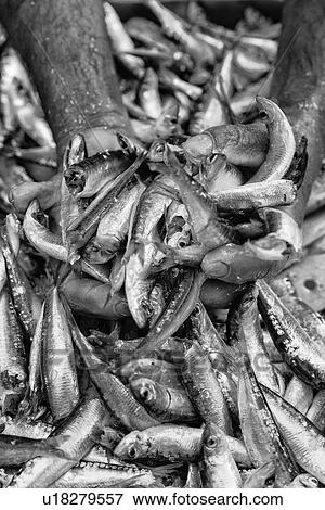Stock Photo - Views of Sicily . Fotosearch