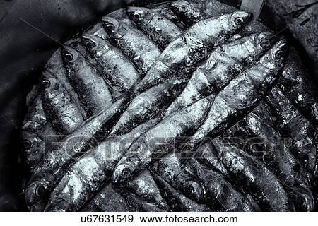 Stock Photo - Views of Sicily . Fotosearch