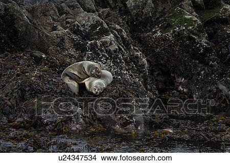 Picture - Views of the Beagle Channel, Ushuaia, Argentina. Fotosearch