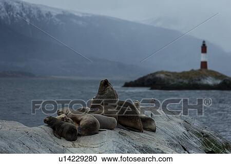 Views of the Beagle Channel, Ushuaia, Argentina View Large Photo Image Stock Image - Views of the Beagle Channel, Ushuaia, Argentina. Fotosearch